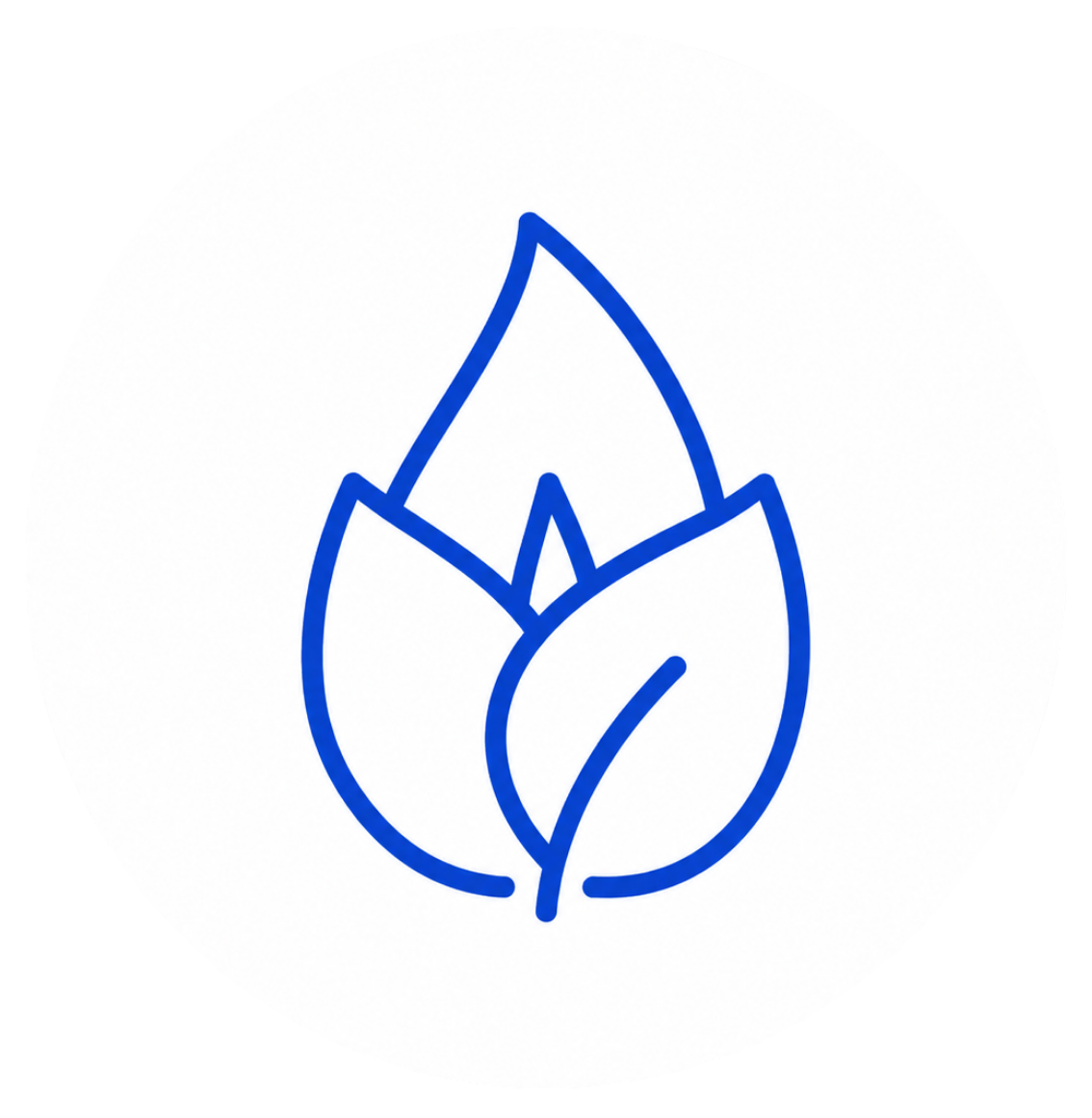 Reliable Icon